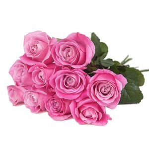 10 vaaleanpunaista ruusua